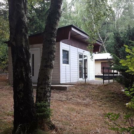 Bungalowdorf Klein Budelsdorf Altenberg  Exteriér fotografie